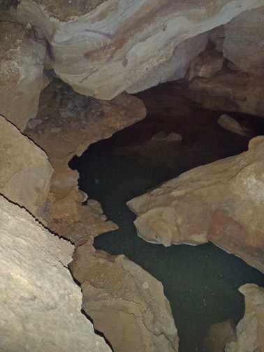 An underground creek runs the most of the length of the cave. It's filled with near transparent crawfish that bite!