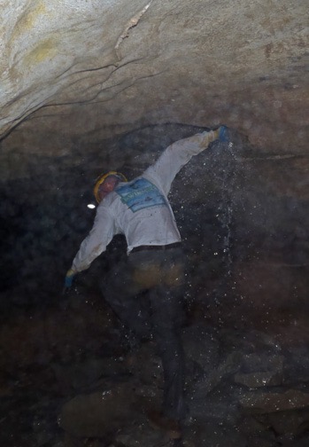 Lowering back down into the lower chamber.