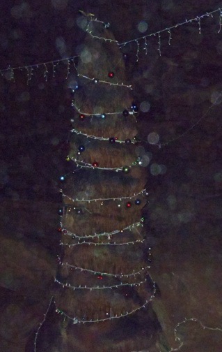 A great stalamite formation decorated for the season.