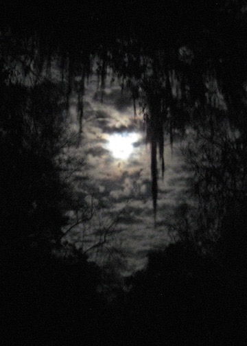 After supper, a walk down to the Suwanee by the light of a nearly full moon.