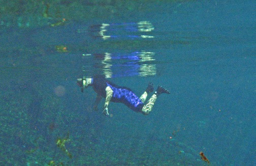 My friend Miguel explores the spring.