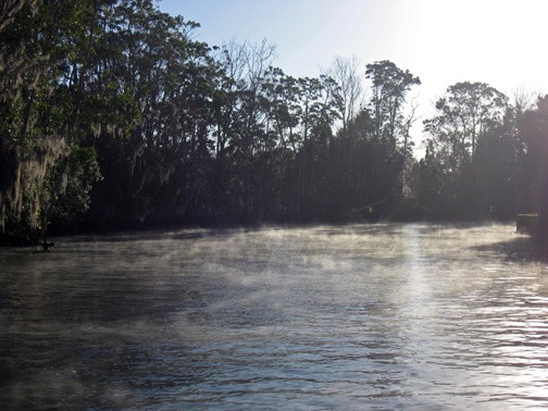 Cold air hits the warm water as we head toward the springhead.