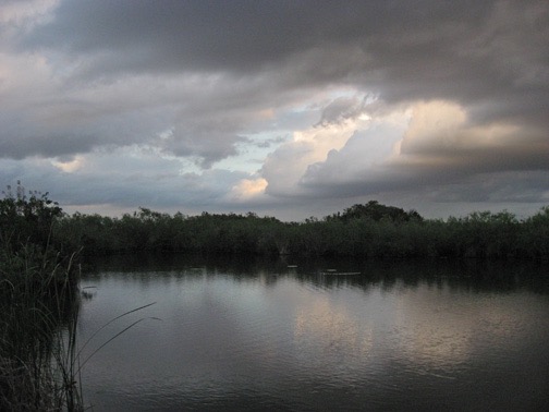 Approaching sunset at the Anhinga Trail.