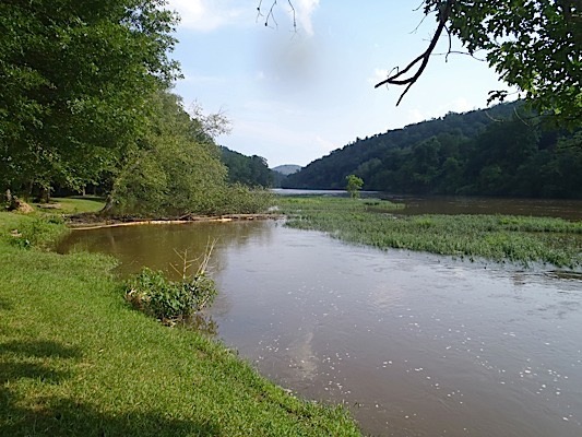 The view downstream from Goat Mtn campsite.