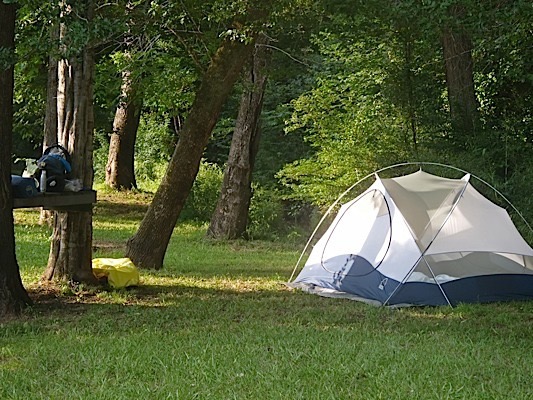 My tent site.