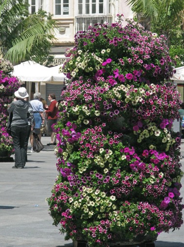 Beautiful plantings everywhere