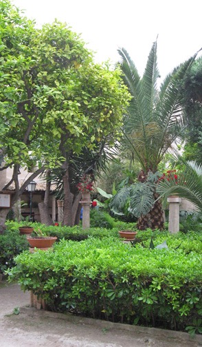 A view of the garden in the baths