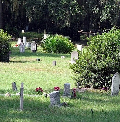 Next morning, on a tour. The Sapelo cemetery.