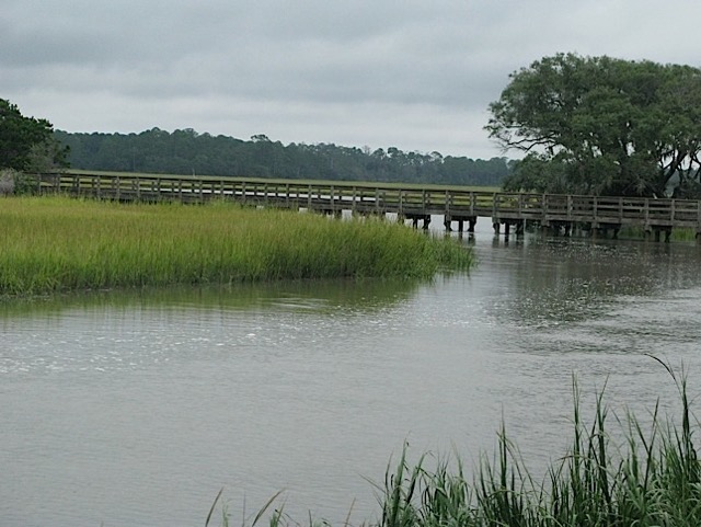 Sunday morning, on the estuary between Sapelo and Cabretta.