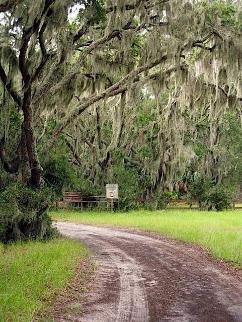 The road to our campsite.