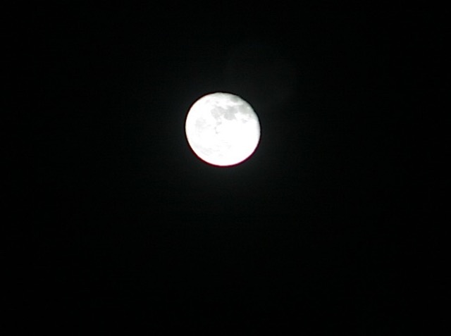 Yep, it's the moon, alright, the same one I could have seen from my kitchen window.