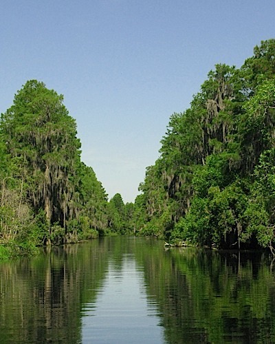 A view down the main canal.