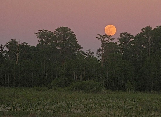 A full moon rising over the prairie.